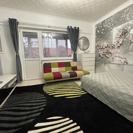 Central Colors Studio Petroşani Dış mekan fotoğraf