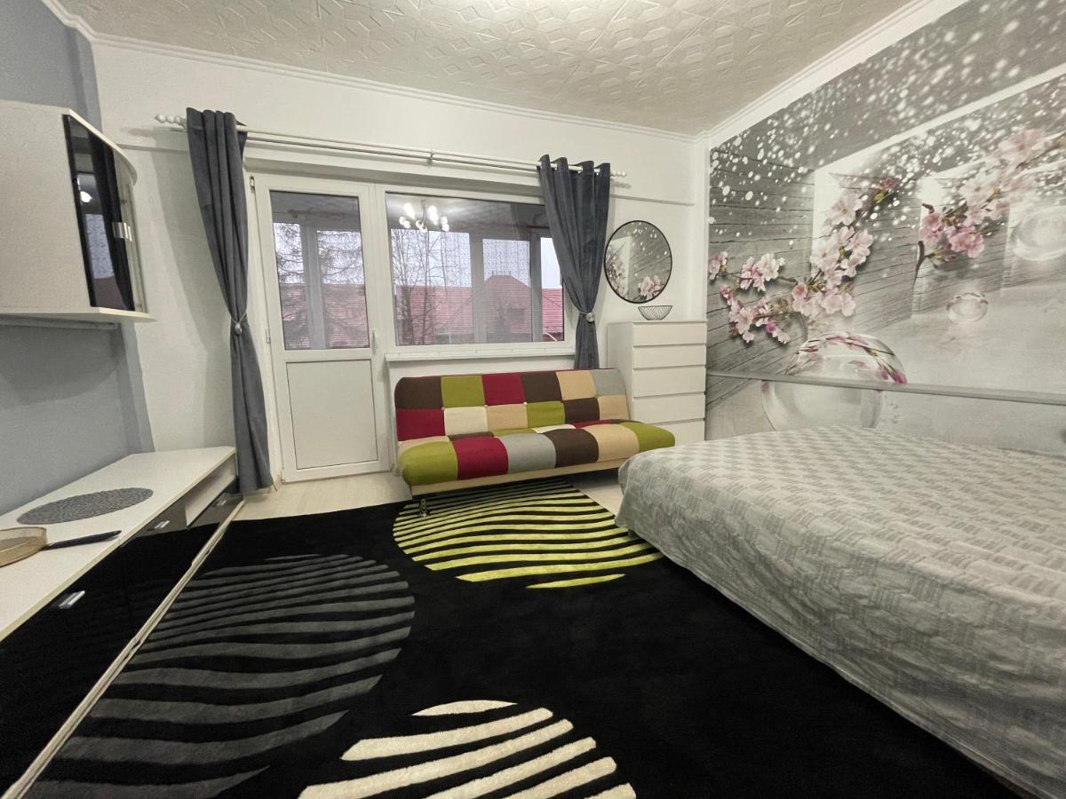 Central Colors Studio Petroşani Dış mekan fotoğraf
