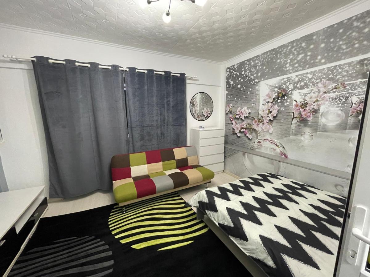 Central Colors Studio Petroşani Dış mekan fotoğraf